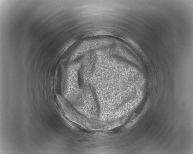 X0000065980793200603241938