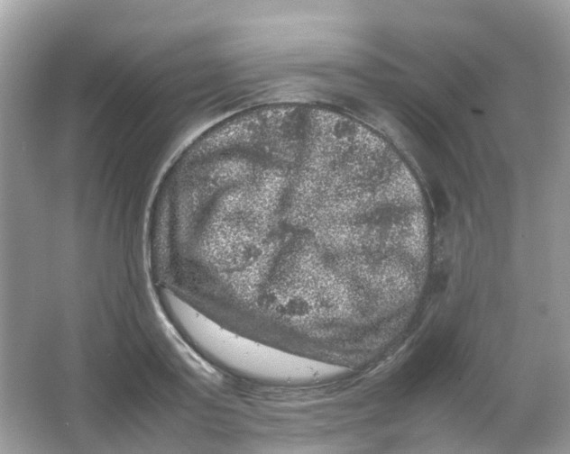 X0000065980795200603241938