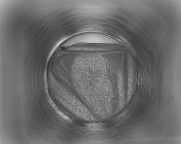 X0000065980796200603241938