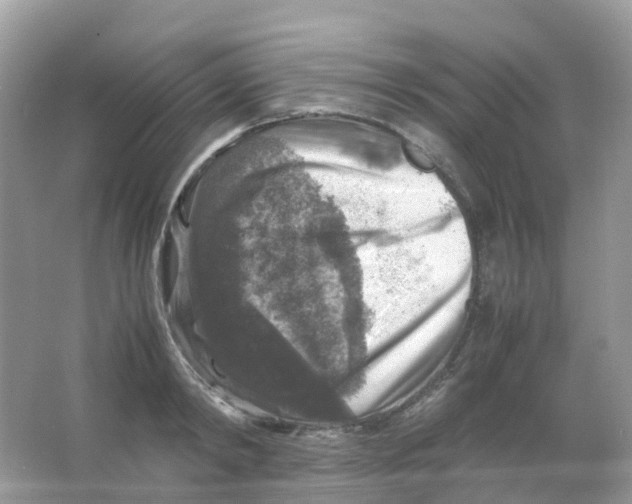 X0000065980798200603241938