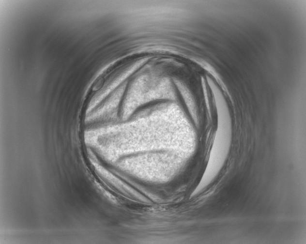 X0000065980799200603241938