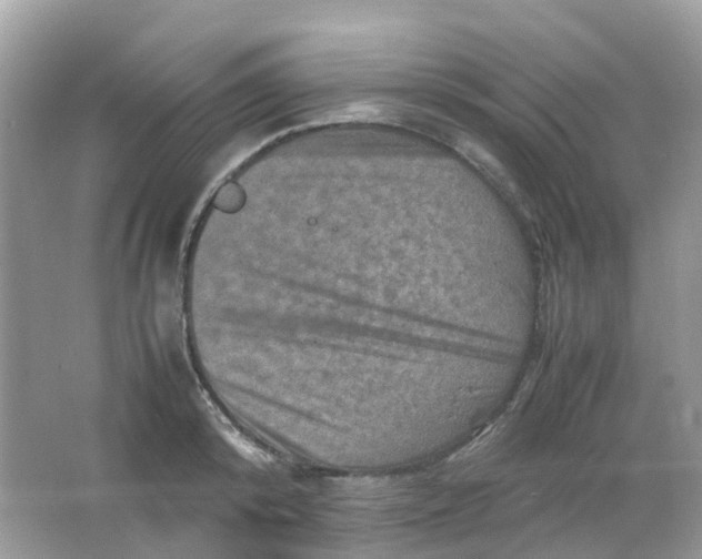 X0000065980800200603241938