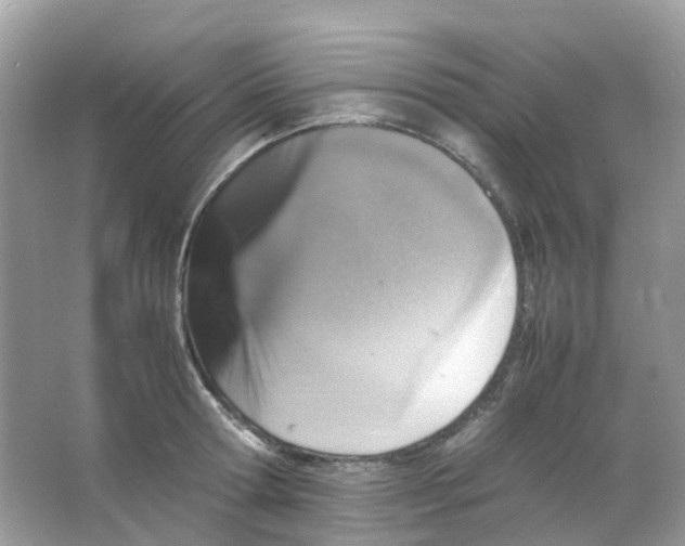 X0000065980802200603241938