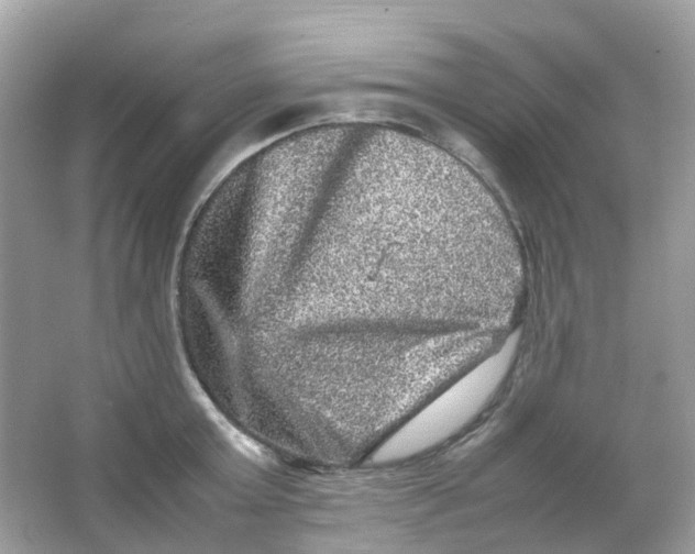 X0000065980803200603241938