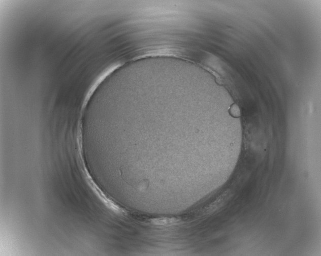 X0000065980804200603241938