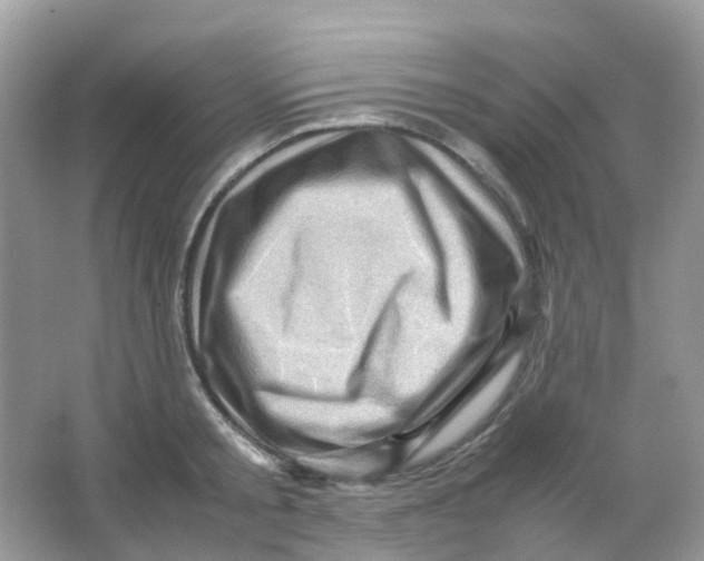 X0000065980805200603241938