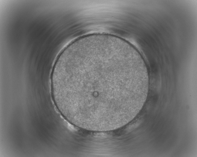 X0000065980807200603241938