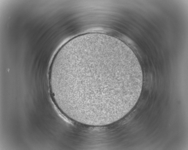 X0000065980808200603241938