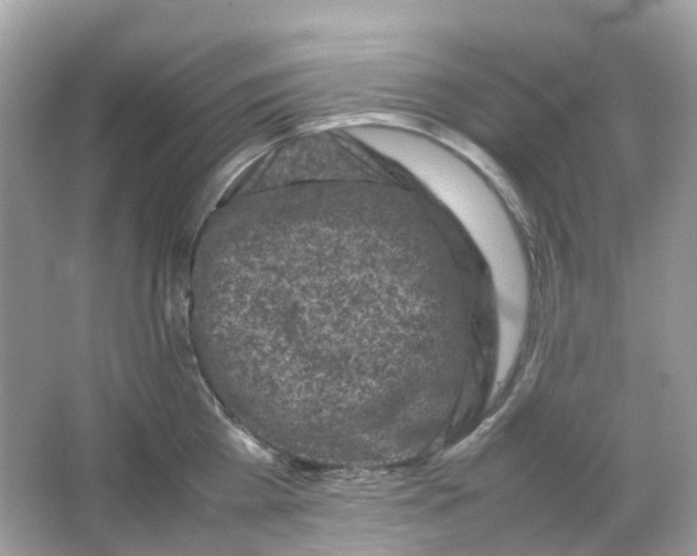 X0000065980809200603241938