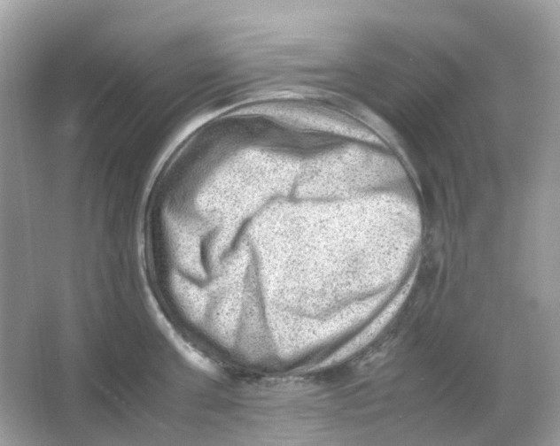 X0000065980811200603241938