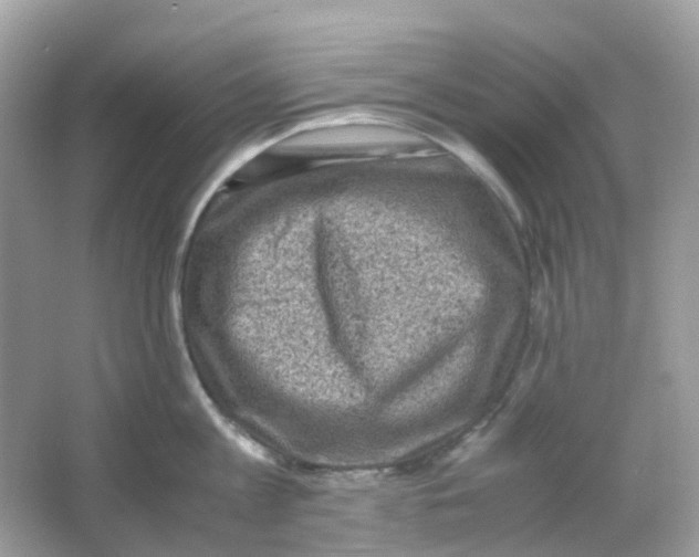 X0000065980813200603241938