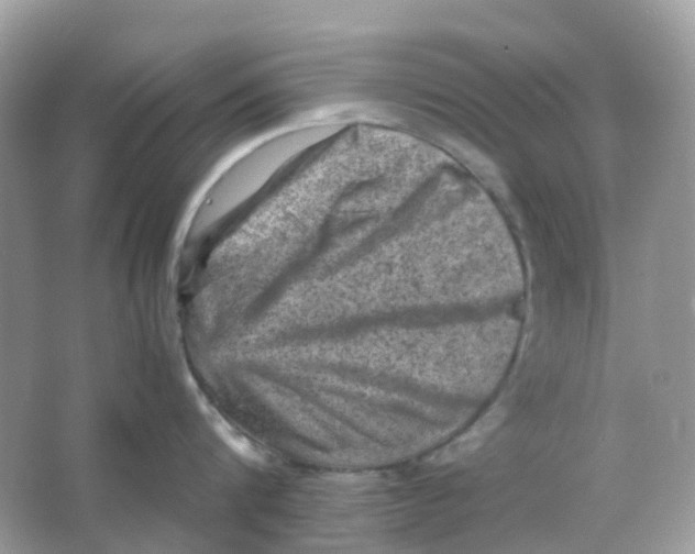 X0000065980816200603241938