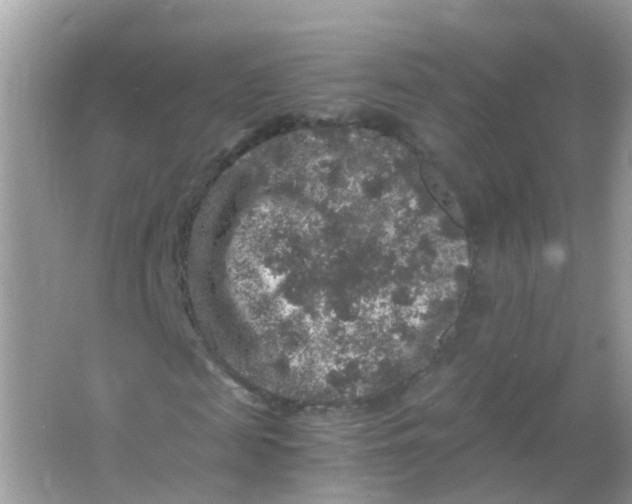 X0000065980817200603241937