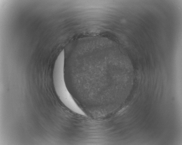 X0000065980818200603241937