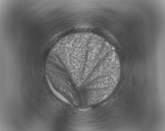 X0000065980821200603241937