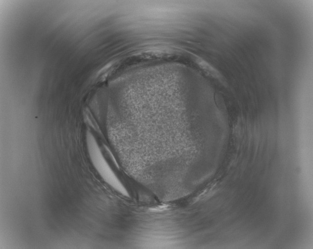 X0000065980822200603241937