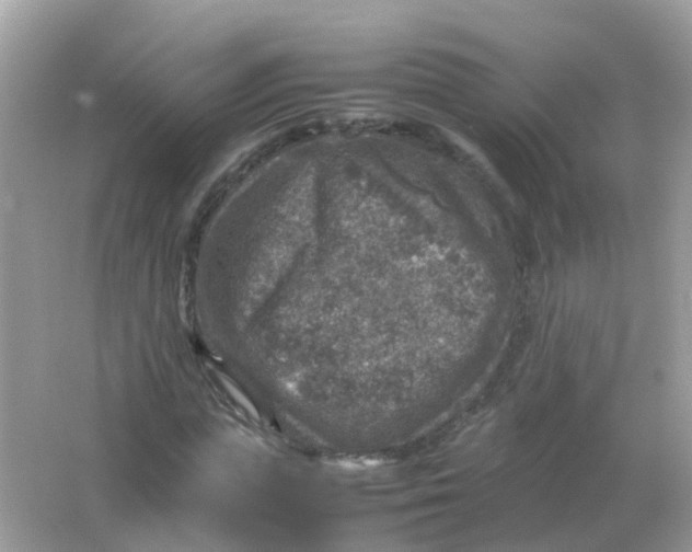 X0000065980823200603241937