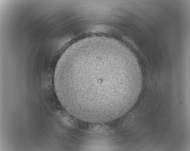 X0000065980824200603241937