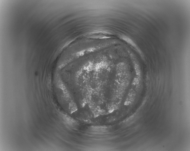 X0000065980825200603241937