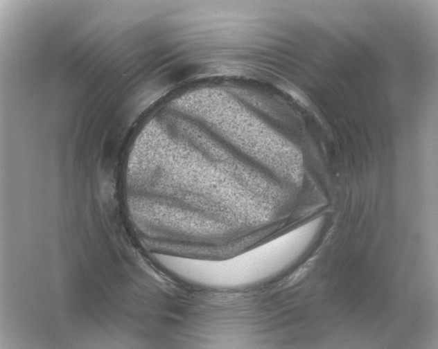 X0000065980826200603241937