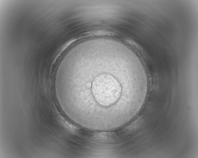 X0000065980828200603241937