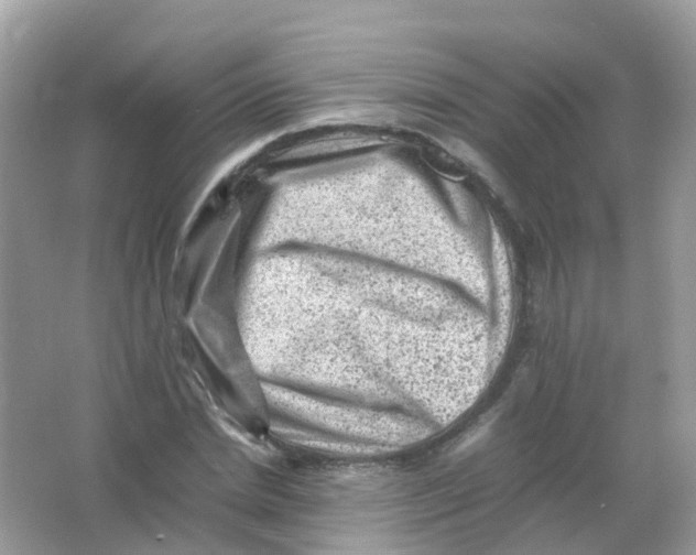 X0000065980830200603241937