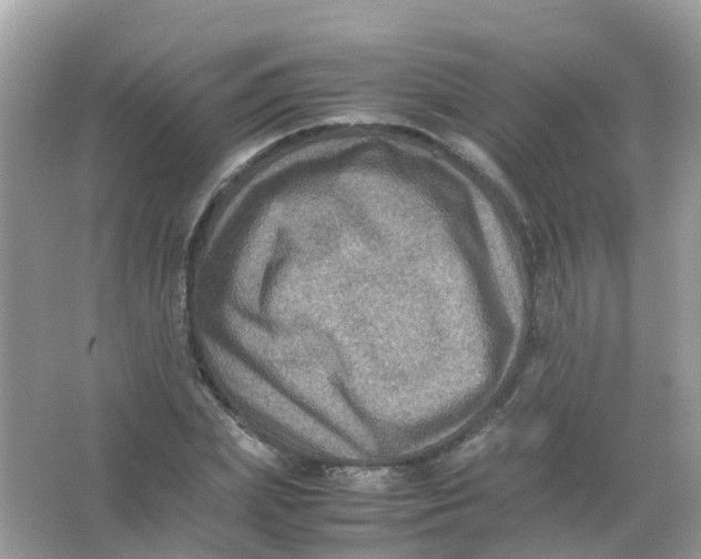 X0000065980831200603241937