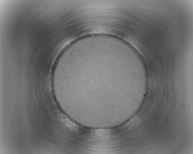 X0000065980832200603241937