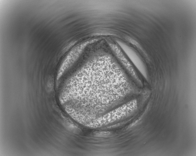 X0000065980833200603241937