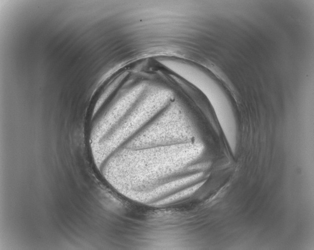 X0000065980834200603241937