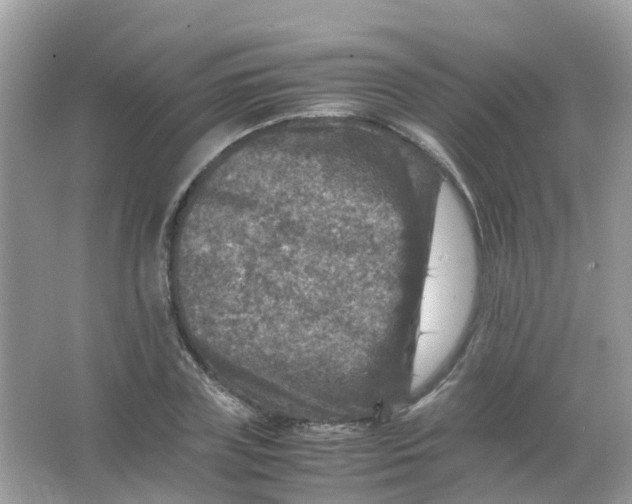 X0000065980835200603241937