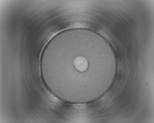 X0000065980836200603241937