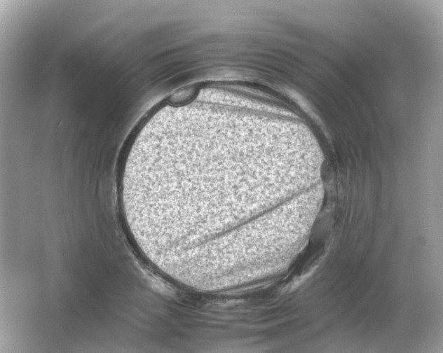 X0000065980837200603241937