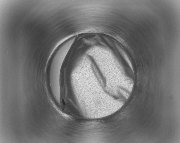 X0000065980838200603241937