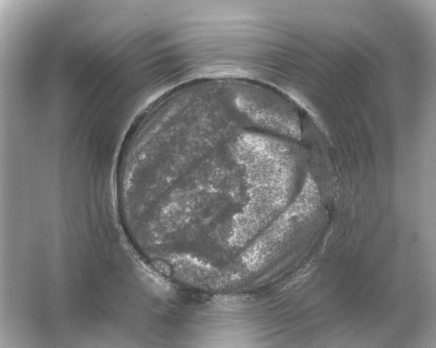 X0000065980840200603241937