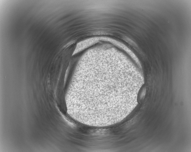 X0000065980841200603241937