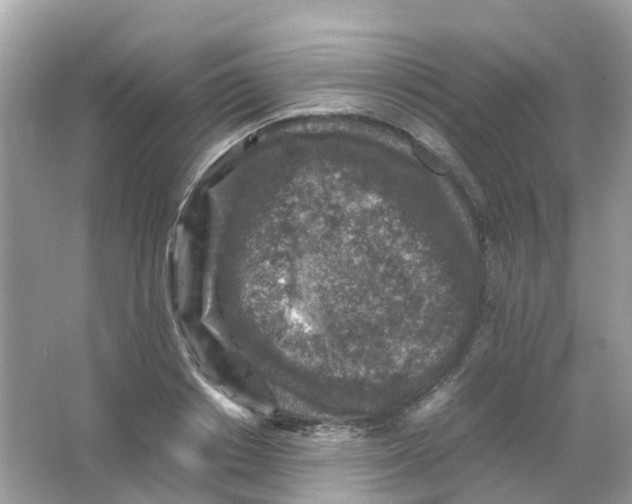 X0000065980842200603241937