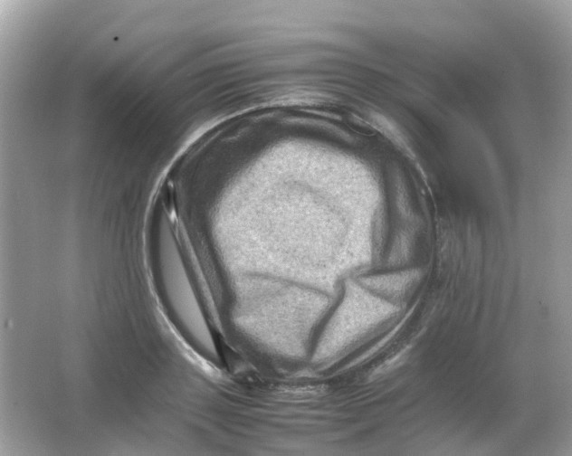 X0000065980843200603241937