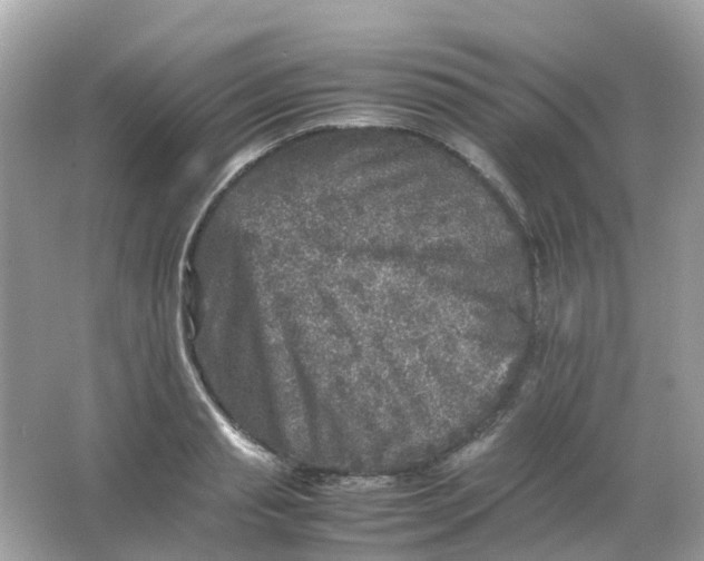 X0000065980845200603241937