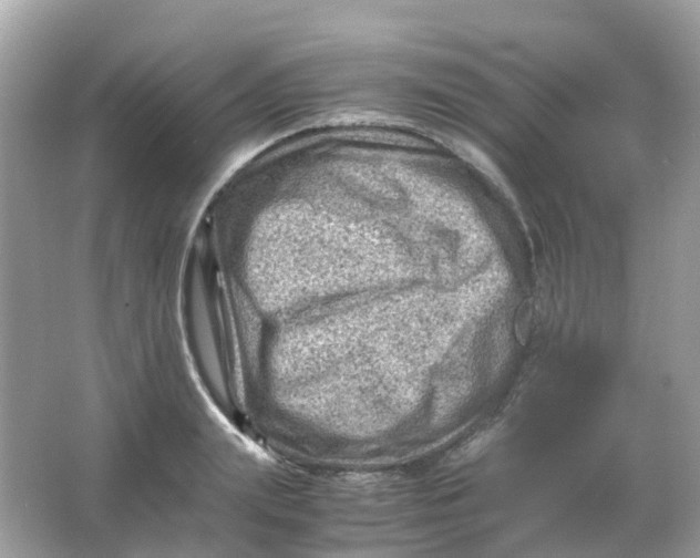 X0000065980847200603241937