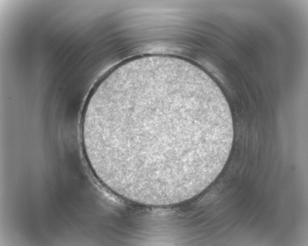 X0000065980848200603241937