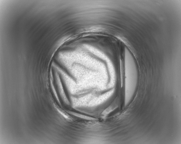 X0000065980850200603241937