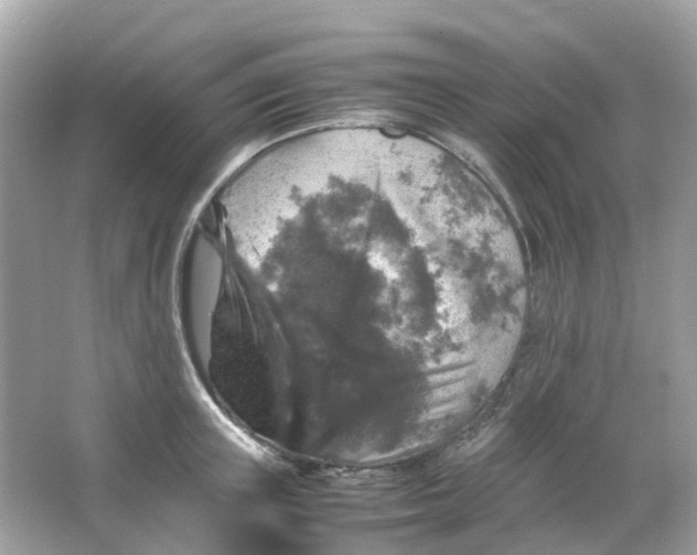 X0000065980851200603241937