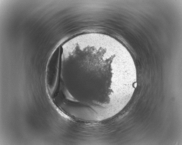 X0000065980853200603241937