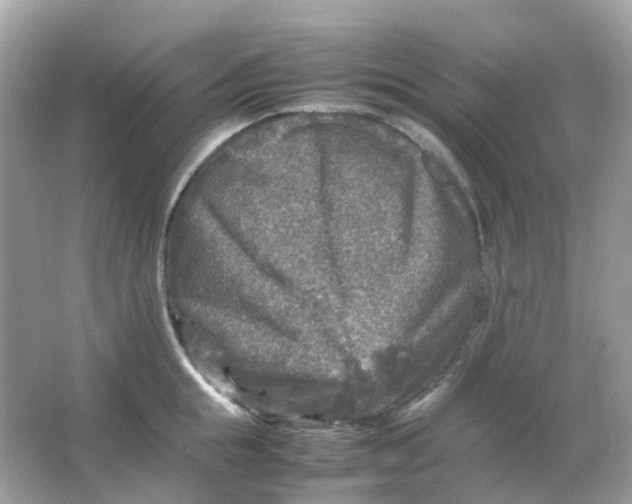 X0000065980855200603241937