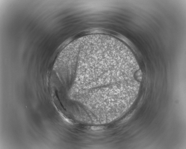 X0000065980857200603241937