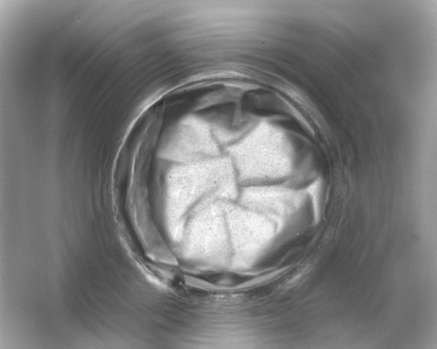 X0000065980858200603241937