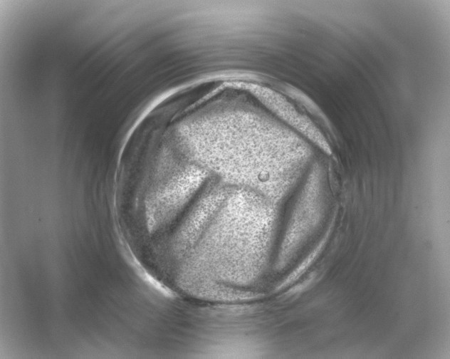 X0000065980860200603241937