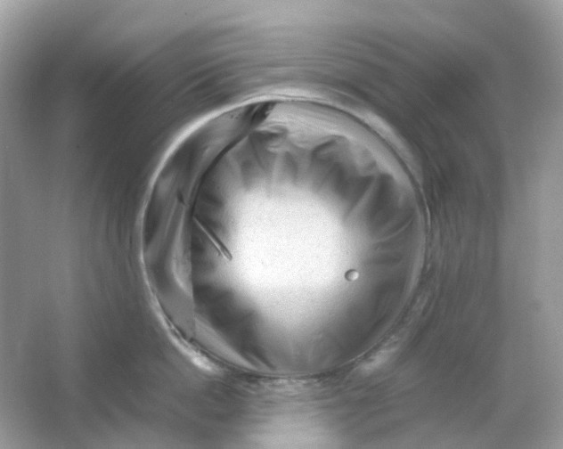 X0000065980862200603241938