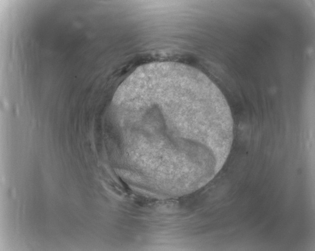 X0000065980865200603241937